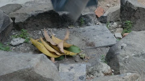 Dumping Dry Leaves into an Outdoor Yard Waste Disposal Area Stock Footage 342260577
