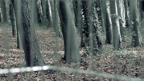 Dumping in the forest. Trolley Stock Footage 73480186