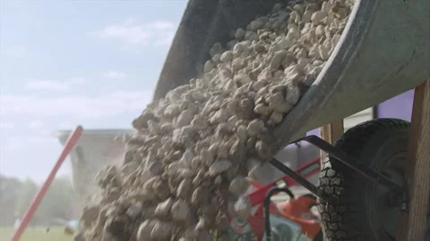 Dumping Foundation rock base out of a wheel barrel Stock-Footage 255856641