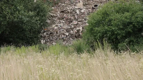 Dumping of garbage from food, trash dumps, garbage dump piles landfills Stock Footage 203923444