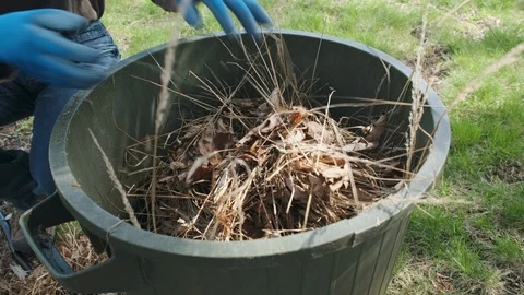 Dumping Spring Garden Waste in Trash Can. 4K Video stock 123916931