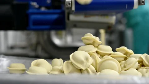 Dumpling factory making process modern industry pelmeni Stock Footage 130763443
