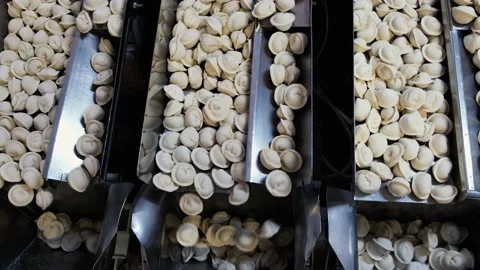 Dumpling factory making process modern industry. Pelmeni. Automatic process Stock Footage 169141805