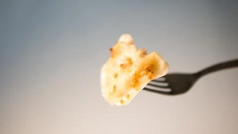 Dumpling on a fork Stock Photos