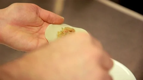 Dumpling Making Vídeo Stock 103231670
