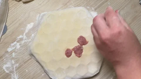 Dumpling Preparation Process Stock Footage 313657129