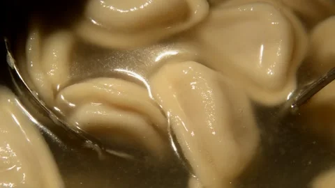 Dumplings is being prepared Stock Footage 291548573