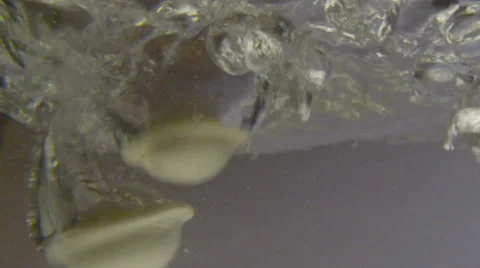 Dumplings drop into boiling water views from the water 2 Stock Footage 55134134