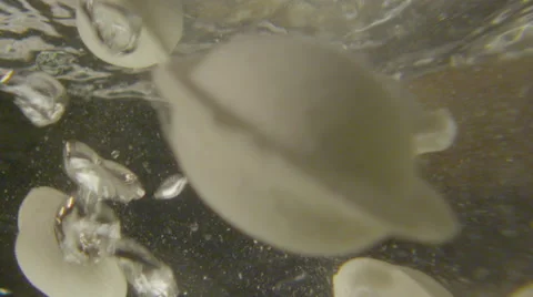 Dumplings drop into boiling water views from the water Stockbeeldmateriaal 55135165