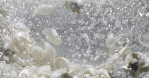 Dumplings fall into boiling water in a pot on kitchen stove. Chinese cuisine Stock Footage 252330252
