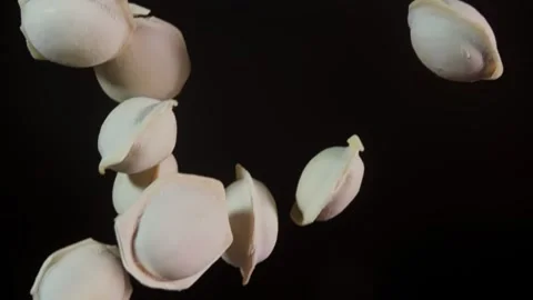Dumplings fly up and fall down. Filmed on a high-speed camera at 1000 frames per Stock Footage 280685920