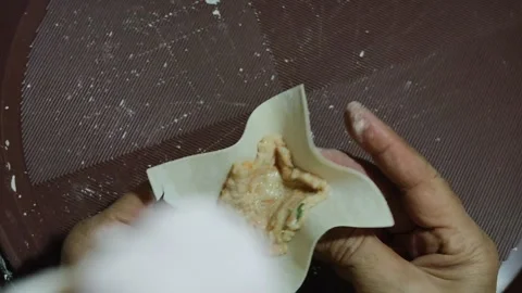 Dumplings or wonton Stock-Footage 308895907