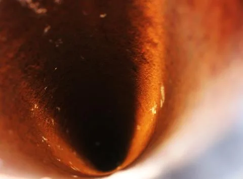 Dumplings, ravioli Stock Photos