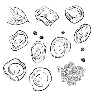 Dumplings set. Bay leaf. Black pepper peas. Ink hand drawing. Food, vegetables Stock Illustration