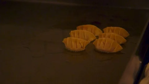 Dumplings Sizzling Vídeo Stock 103231834