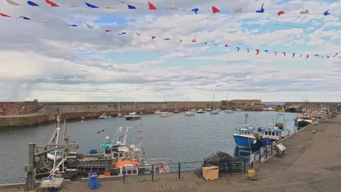 Dunbar harbour Stock Footage 246633833
