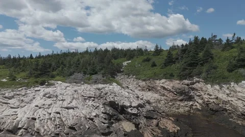 Duncans Cove Stock Footage 343561687