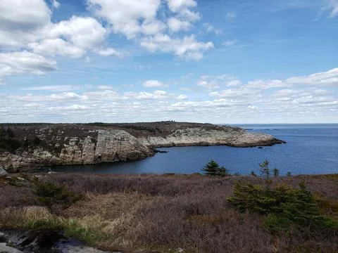 Duncans Cove Landscape Stock Photos