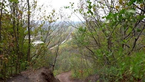 Dundas peak through some bushes 28 Stock Footage 82095508