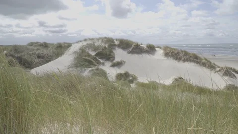 Dune above the beach, there is a strong wind Stock Footage 94183872
