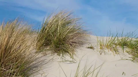 Dune and blue sky 스톡 동영상 37530524