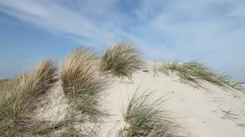 Dune and blue sky Stock Footage 37531478