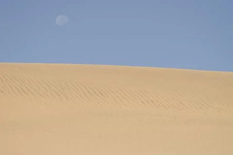 Dune and moon. Stock Photos