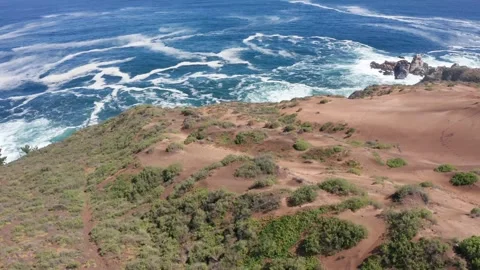 Dune and ocean drone view chile Stock Footage 242891343