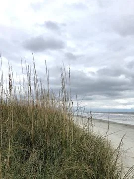 Dune and Ocean Stock Photos
