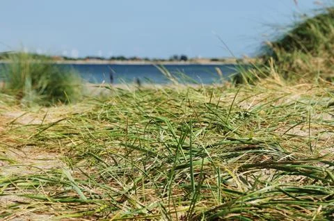 Dune beach sea fehmarn Stock Photos