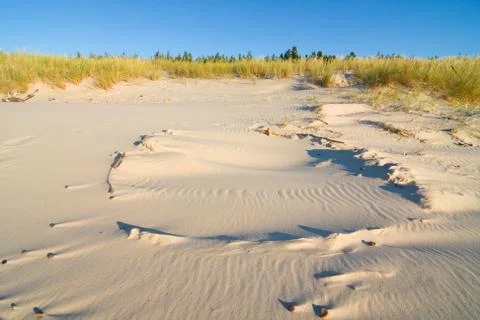 Dune on beach at sunset Stock Photos