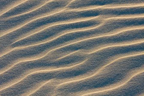 Dune on beach at sunset 스톡 사진