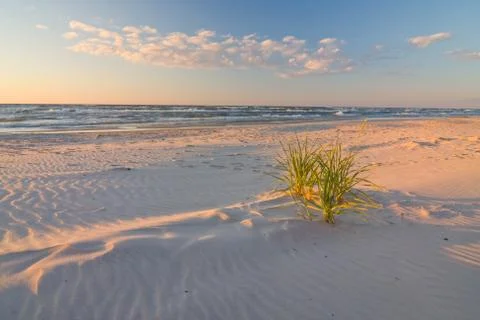 Dune on beach at sunset Foto stock