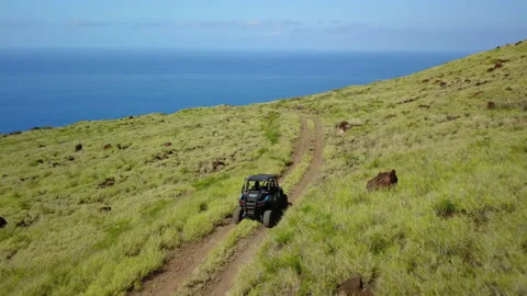 Dune Buggy Chase Hawaii Stock Footage 135086878