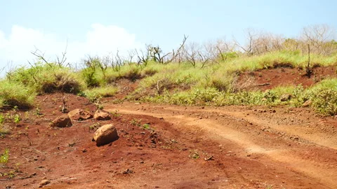 Dune Buggy Drives By In Hawaii Stock Footage 135087771