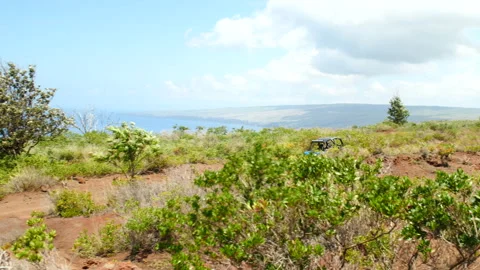Dune Buggy Drives By In Hawaii Stock Footage 135088495