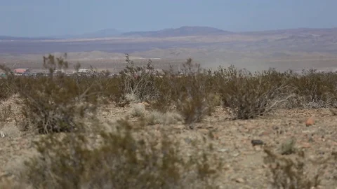 Dune buggy speeding through desert Stock Footage 77608201