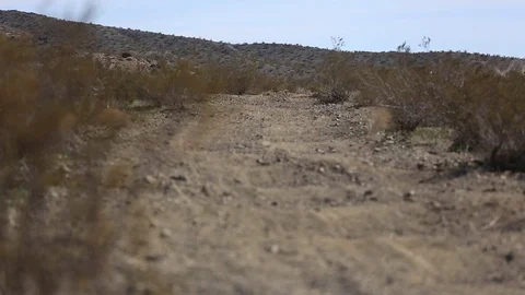 Dune buggy speeds through desert Stock Footage 77608216