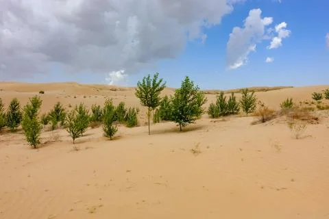 Dune in China Stock Photos