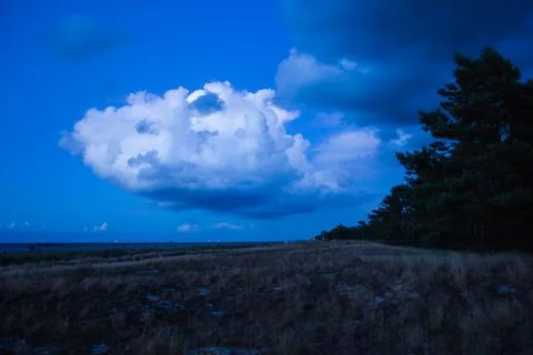 Dune with cloud and trees at blue hour prerow germany Stock Photos