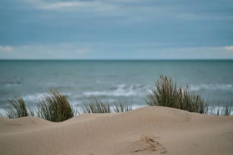 Dune at the coast with north sea in the background Stock Photos