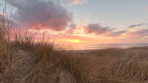 A dune covered in dune grass by the sea at sunset, time-lapse  库存影片 334625621