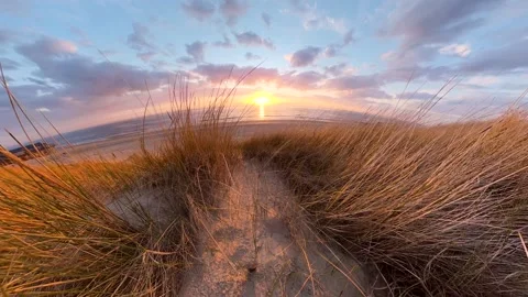 A dune covered in dune grass by the sea at sunset, Video-Effect Stockbeeldmateriaal 334737284