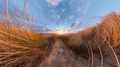 A dune covered in dune grass by the sea at sunset, Video-Effect Stockbeeldmateriaal 334737300