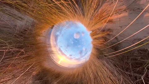 A dune covered in dune grass by the sea at sunset, Rotation Video stock 334737354