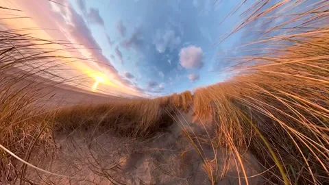 A dune covered in dune grass by the sea at sunset, Rotation Stockbeeldmateriaal 334737394
