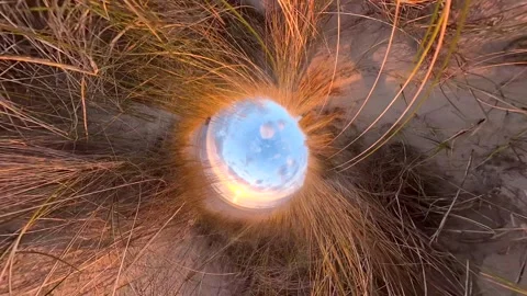 A dune covered in dune grass by the sea at sunset, Rotation Stockbeeldmateriaal 334737656