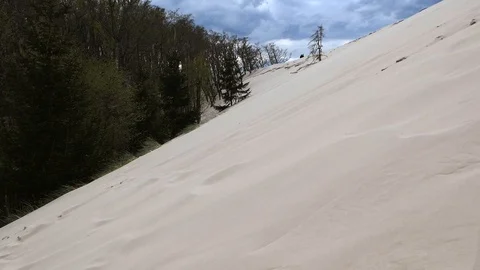 Dune Covering the Forest Stock Footage 91281635