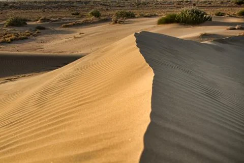 seif dunes in sahara desert