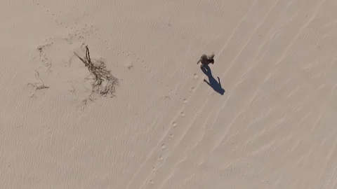 Dune Day 1 Vídeos de archivo 105896986